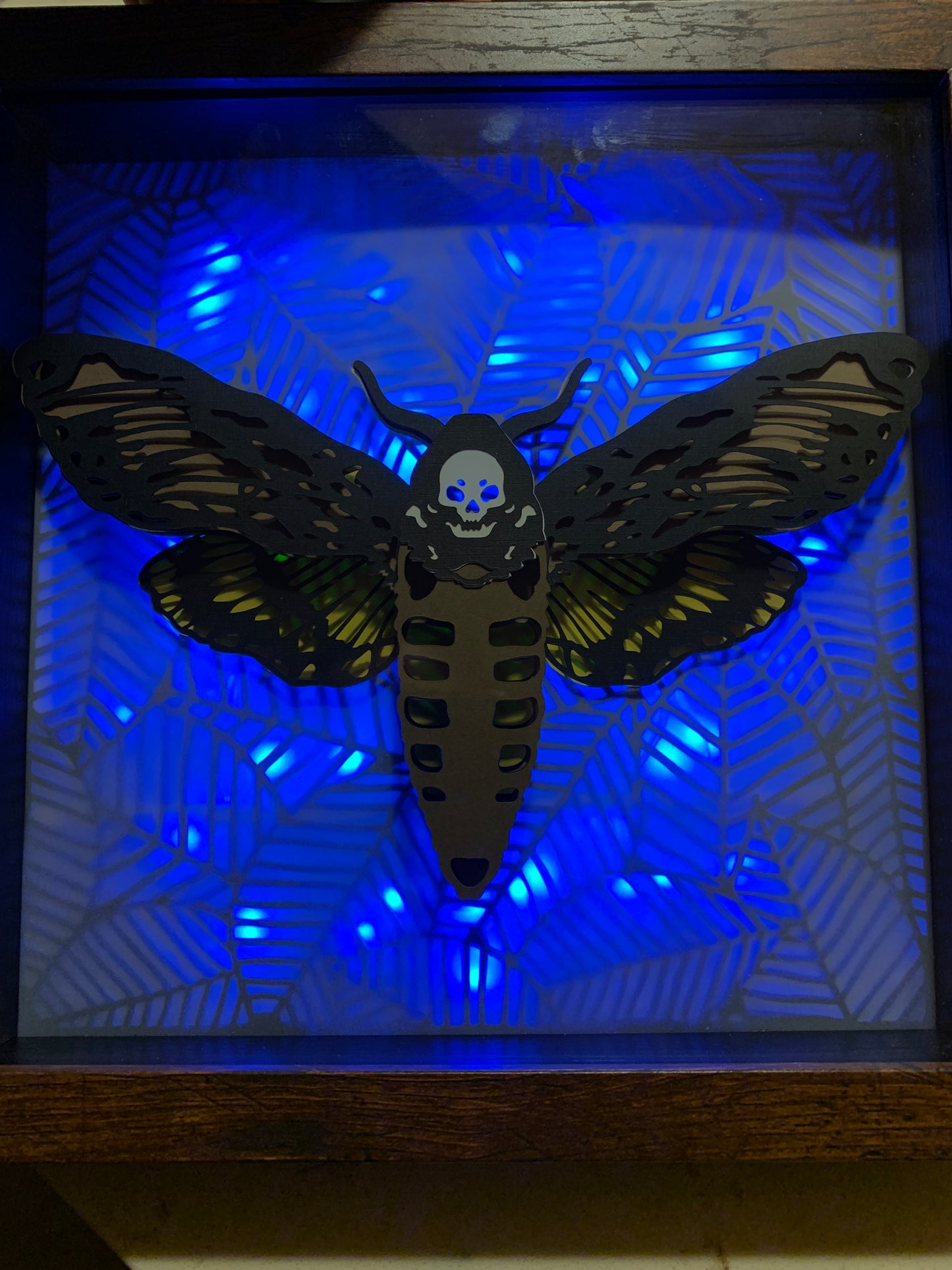 Death’s Head Moth