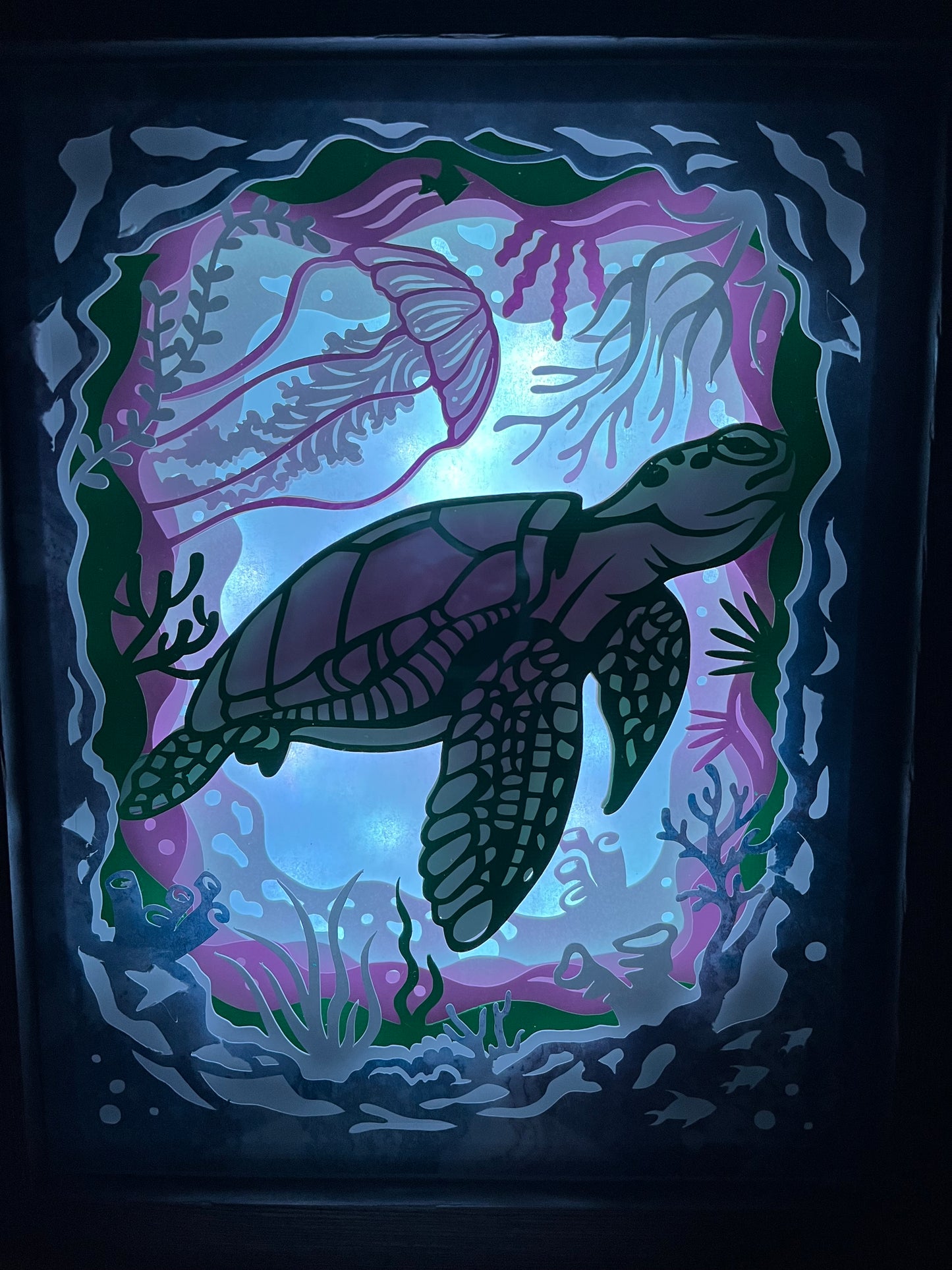 Sea Turtle