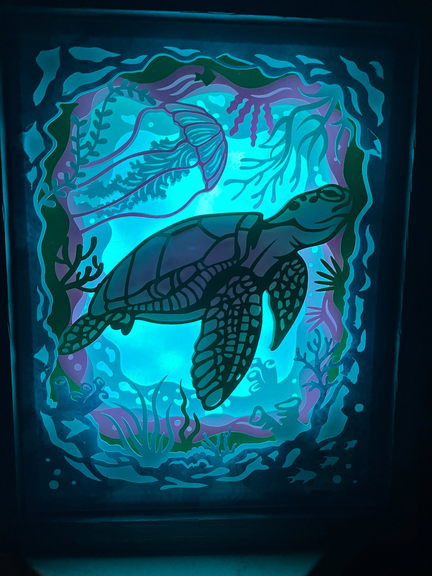 Sea Turtle